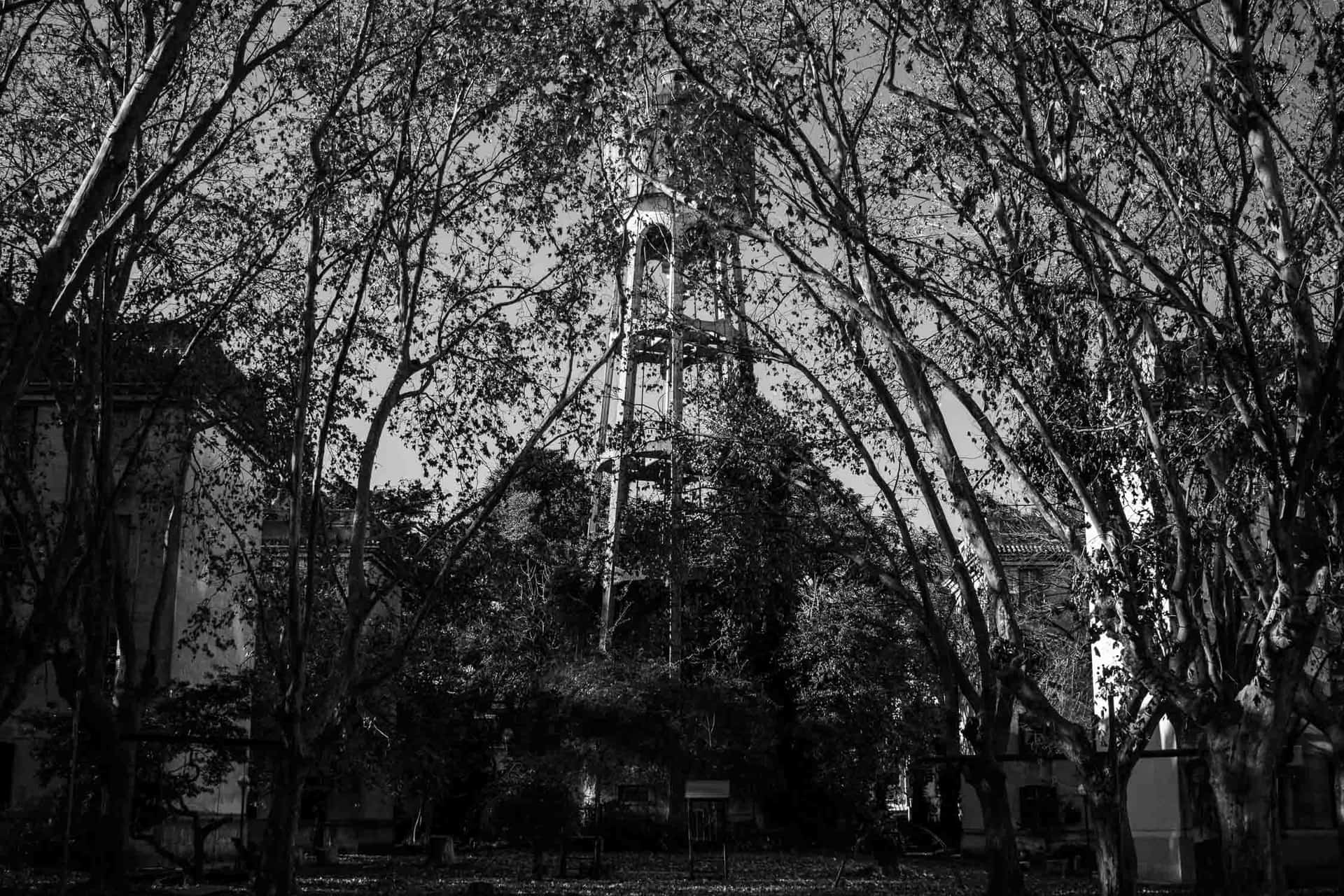 La torre de Rawson
