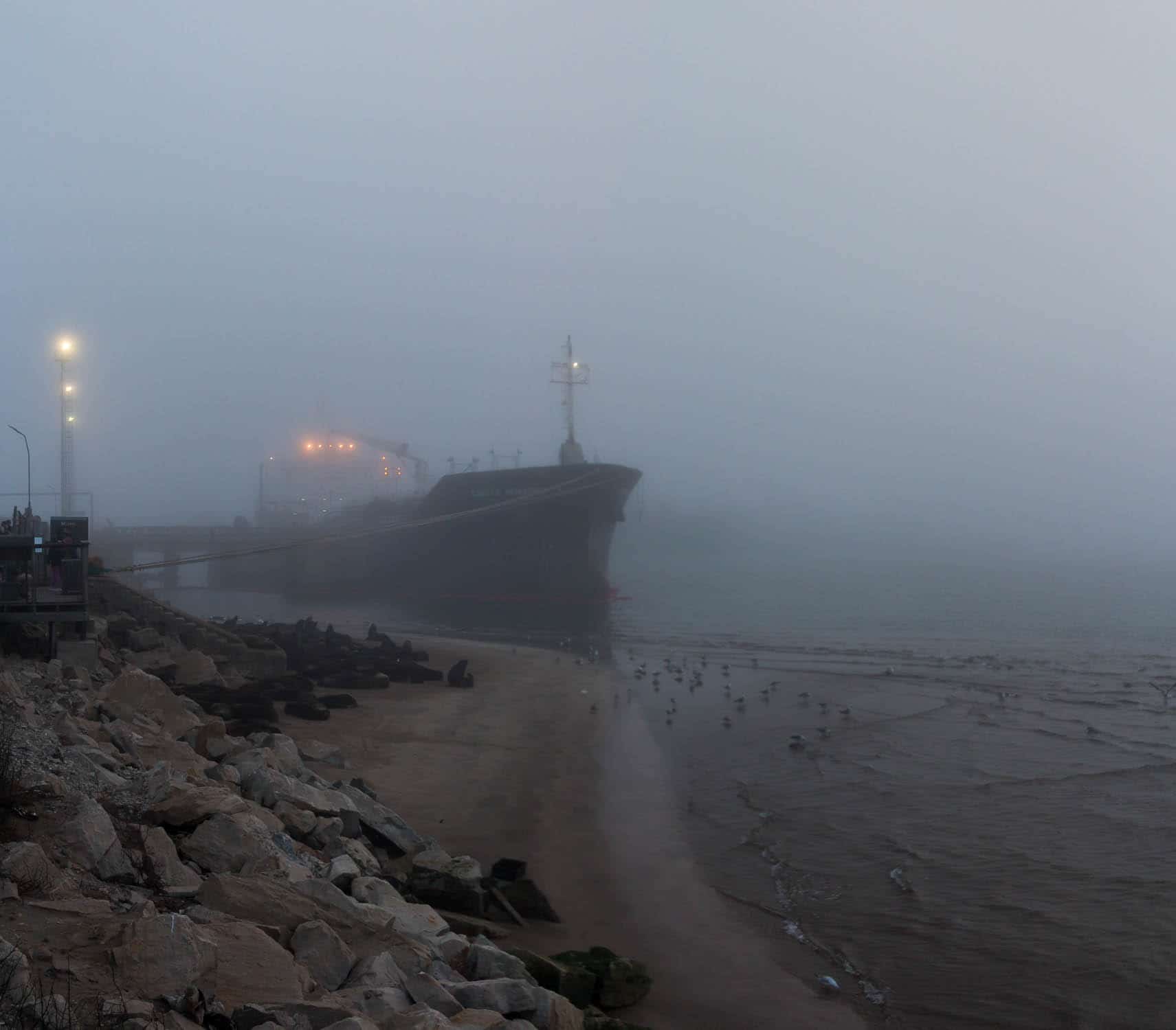 Niebla