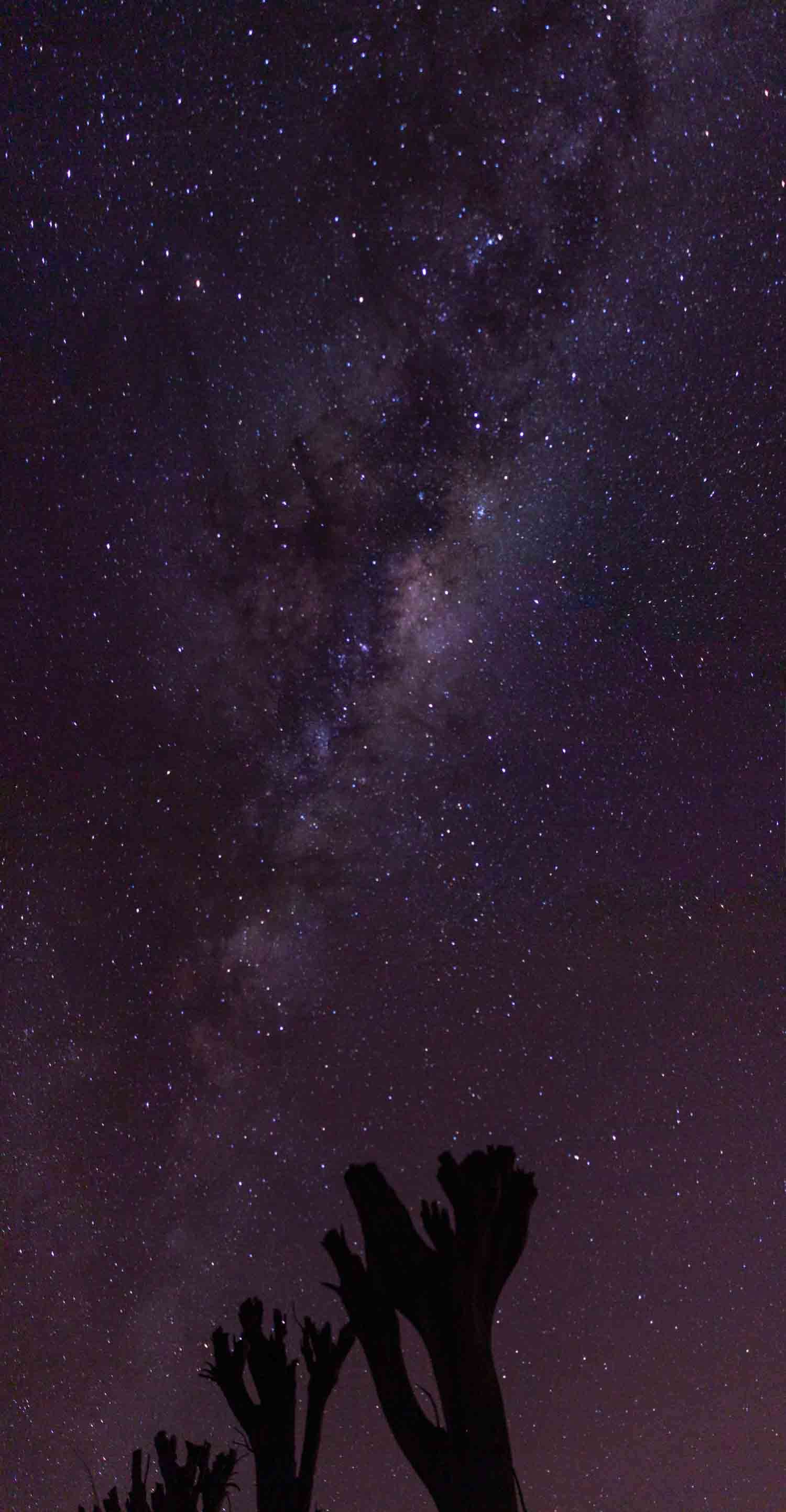 Via Lactea en las Ruinas de Epecuen