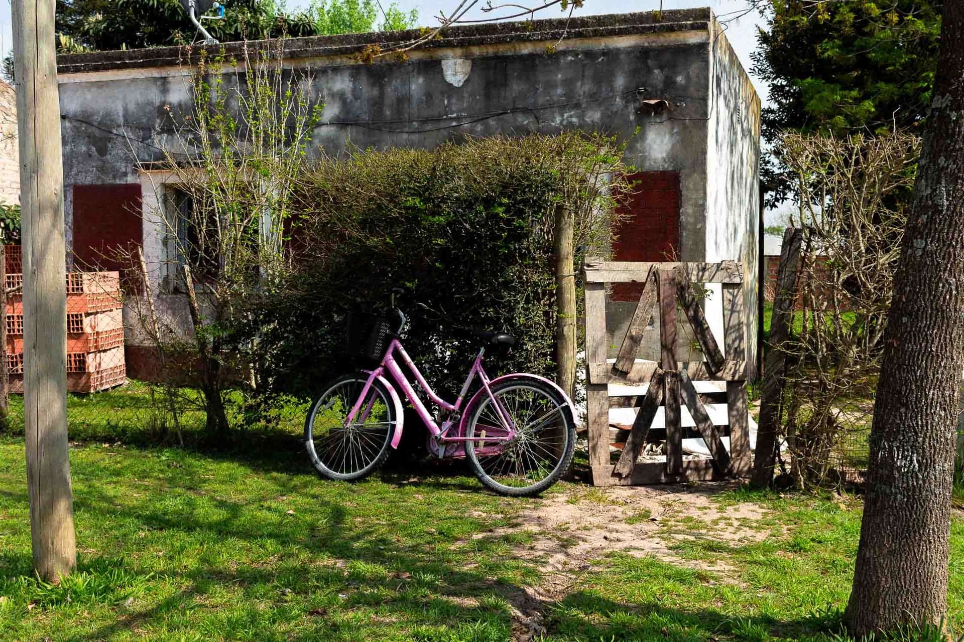 Bici