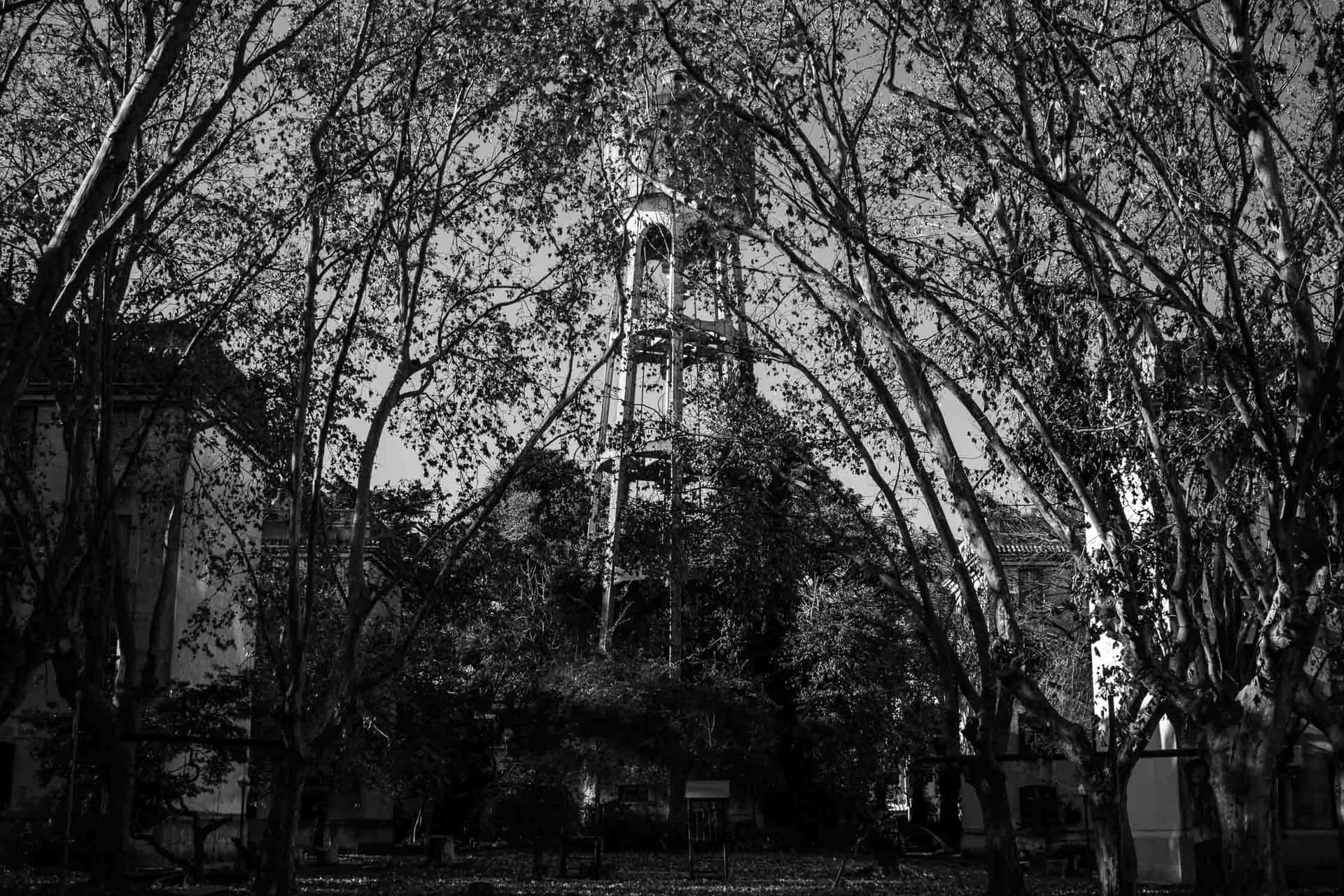 La torre de Rawson