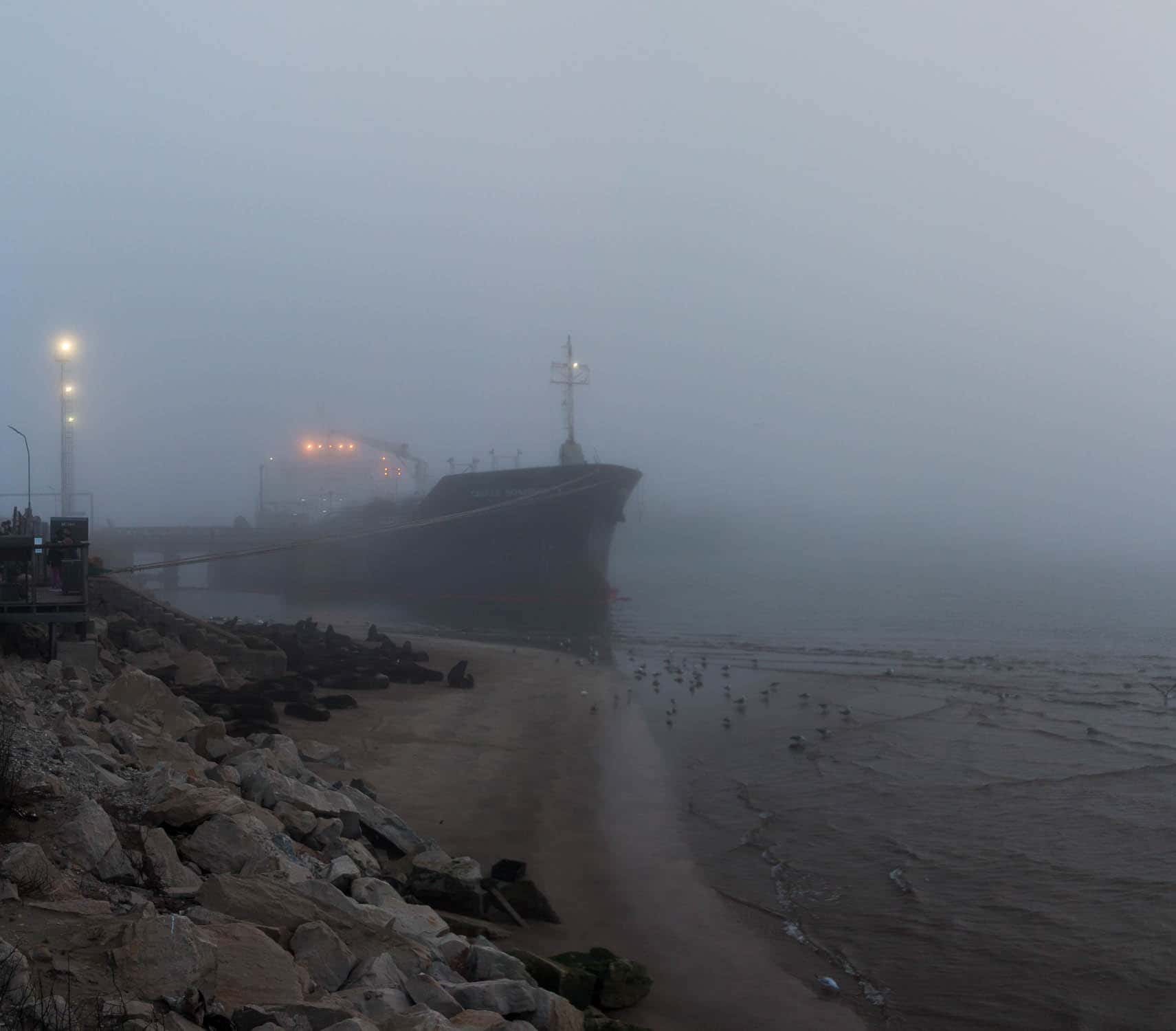 Niebla