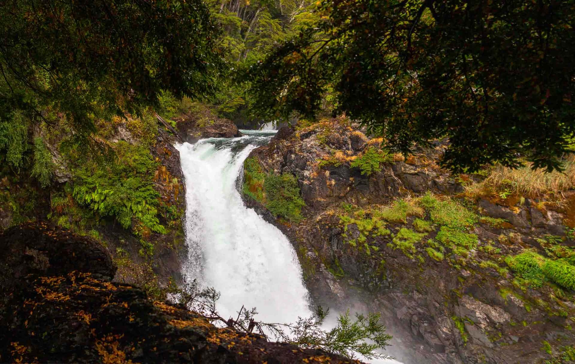 Cascada de Los Alerces