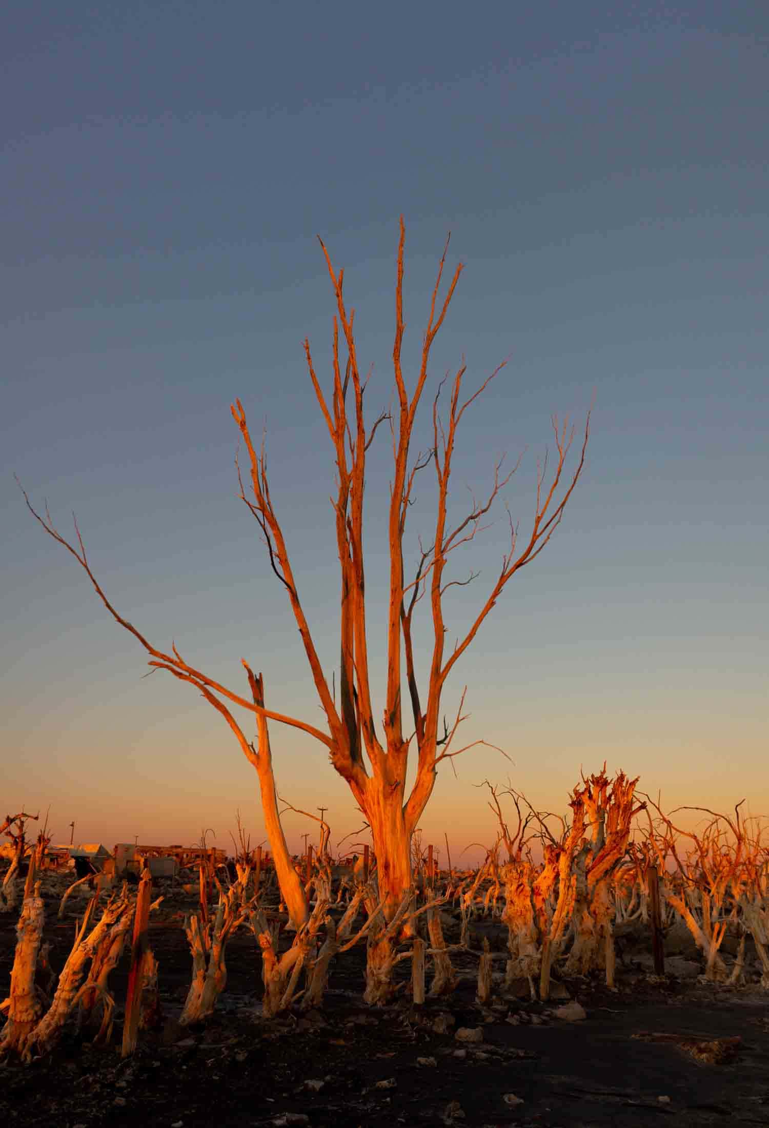 Atardecer en las Ruinas de Epecuen