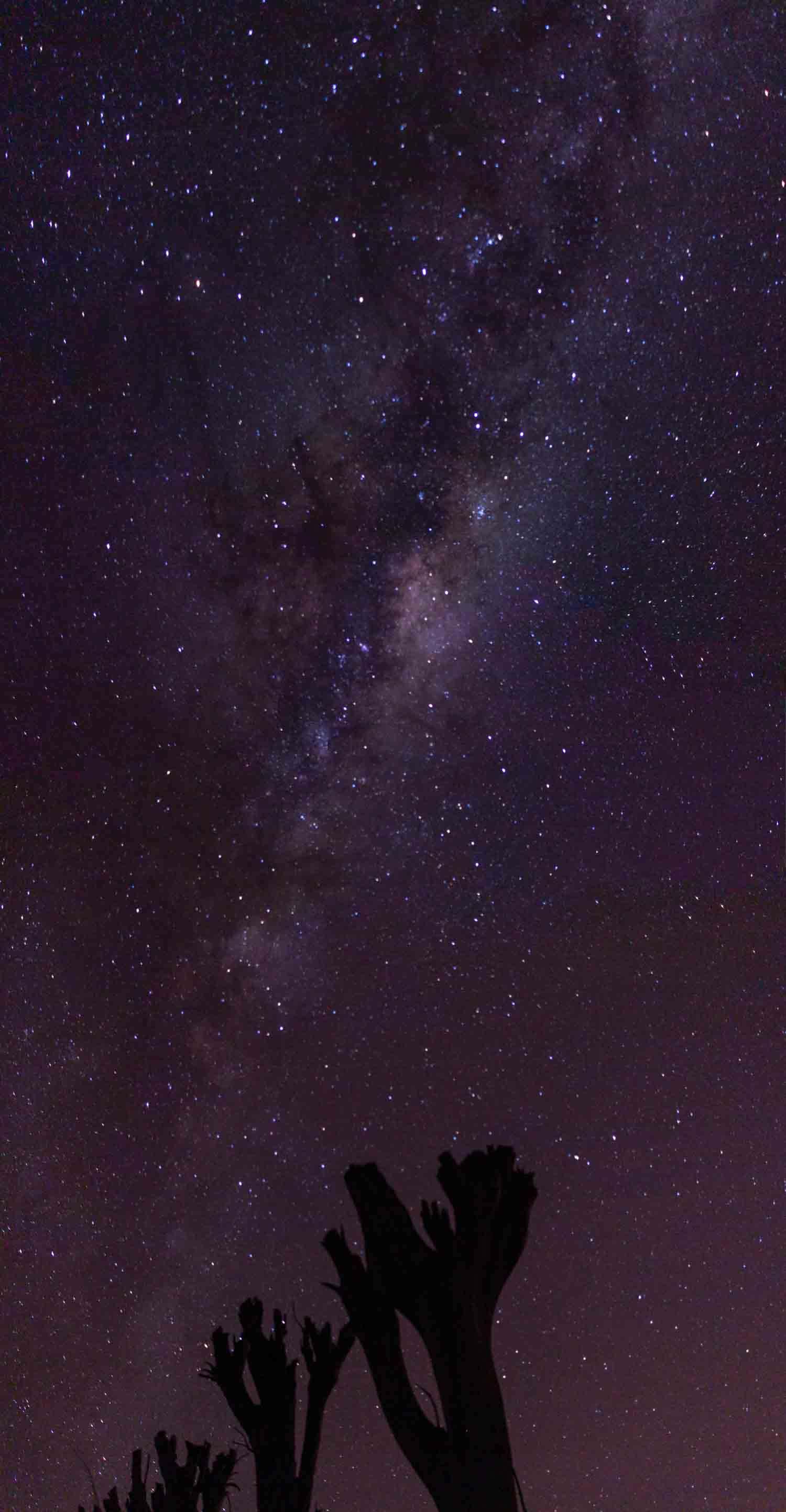 Via Lactea en las Ruinas de Epecuen