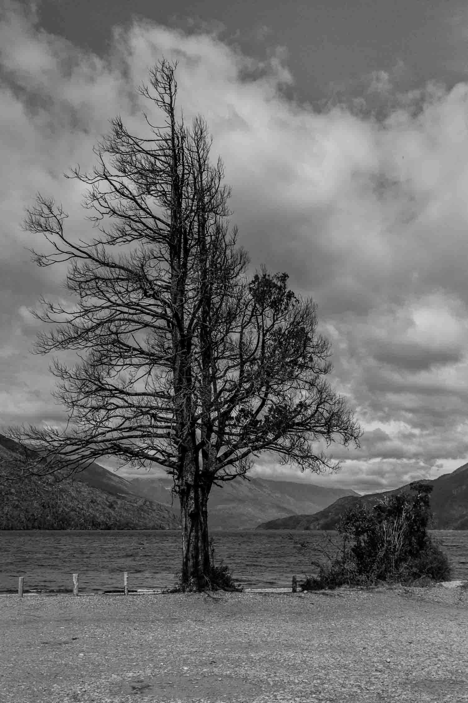 Patagonia