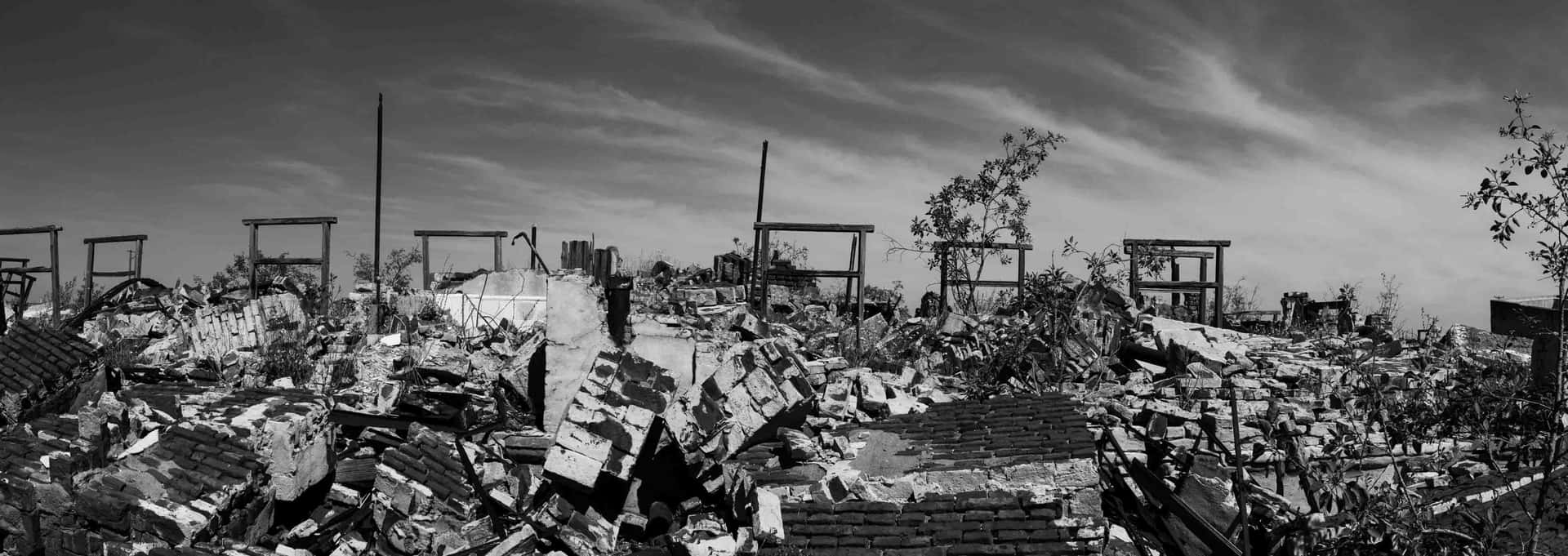 Marcos de Epecuen panorama