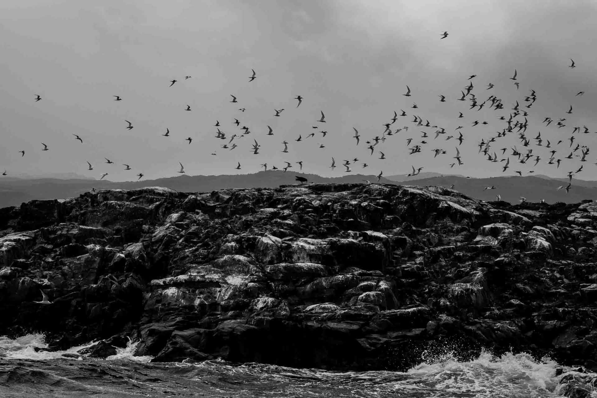 Isla de los Pajaros